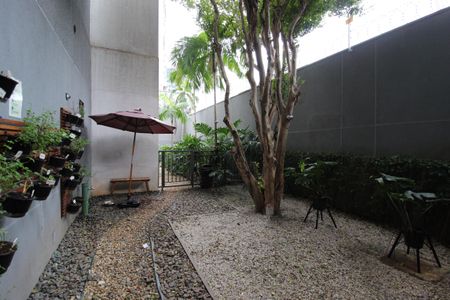 Studio para alugar com 31m², 1 quarto e sem vagaÁrea Comum - Pet Place