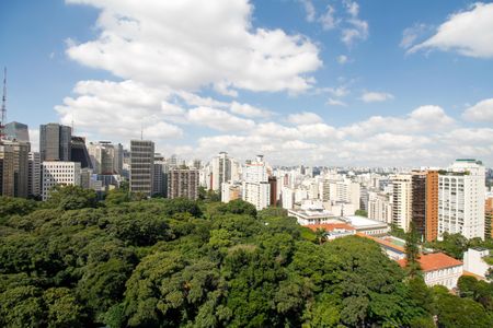 Apartamento à venda com 194m², 3 quartos e 2 vagasÁrea Comum - Vista Parque Trianon