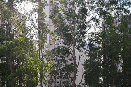 Apartamento à venda com 70m², 2 quartos e 1 vagaVista