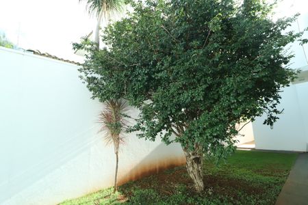 Casa para alugar com 237m², 5 quartos e 3 vagasQuintal