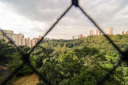 Apartamento para alugar com 197m², 3 quartos e 3 vagasVista da Suíte 3