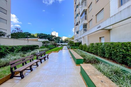 Apartamento para alugar com 53m², 2 quartos e 1 vagaÁrea comum