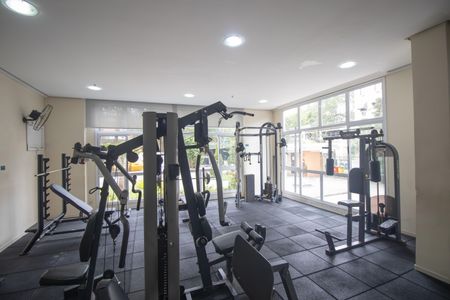 Apartamento para alugar com 46m², 1 quarto e 1 vagaÁrea comum - Academia