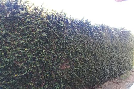 Casa à venda com 210m², 4 quartos e 3 vagas Casa à venda com 210m², 4 quartos e 3 vagasVista da Sala de Jantar