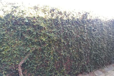 Casa à venda com 210m², 4 quartos e 3 vagas Casa à venda com 210m², 4 quartos e 3 vagasVista da Cozinha