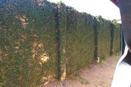 Casa à venda com 210m², 4 quartos e 3 vagas Casa à venda com 210m², 4 quartos e 3 vagasVista do Quarto 1