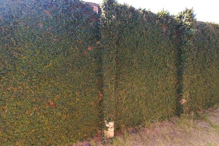 Casa à venda com 210m², 4 quartos e 3 vagas Casa à venda com 210m², 4 quartos e 3 vagasVista do Quarto 2