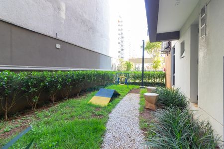Apartamento para alugar com 31m², 1 quarto e sem vagaÁrea comum - Espaço Pet