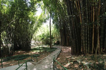 Apartamento para alugar com 280m², 4 quartos e 4 vagasÁrea comum