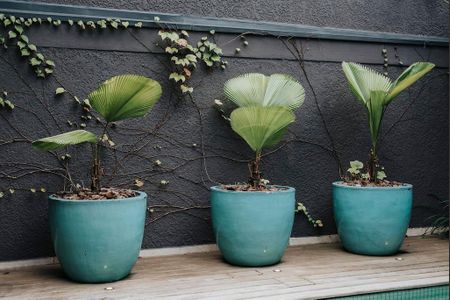 Casa de condomínio à venda com 200m², 3 quartos e 2 vagasDetalhes área externa 