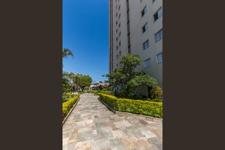 Apartamento à venda com 65m², 3 quartos e 1 vagaÁrea comum