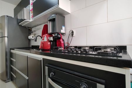 Apartamento para alugar com 60m², 2 quartos e 1 vagaCozinha - Armários