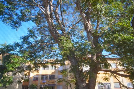 Apartamento para alugar com 40m², 1 quarto e sem vagaVista do Quarto 