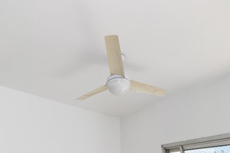 Apartamento à venda com 65m², 2 quartos e 1 vagaSala - Ventilador 1