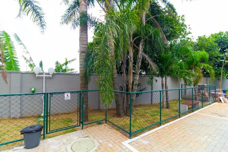 Apartamento para alugar com 35m², 2 quartos e sem vaga Apartamento para alugar com 35m², 2 quartos e sem vagaEspaço Pet