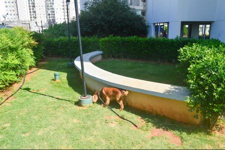 Apartamento à venda com 69m², 3 quartos e 1 vaga Apartamento à venda com 69m², 3 quartos e 1 vagaÁrea comum