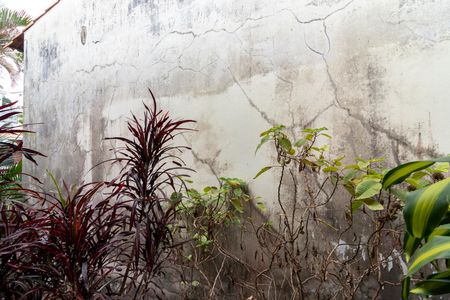 Casa à venda com 370m², 7 quartos e 4 vagasQuarto 4 - Vista