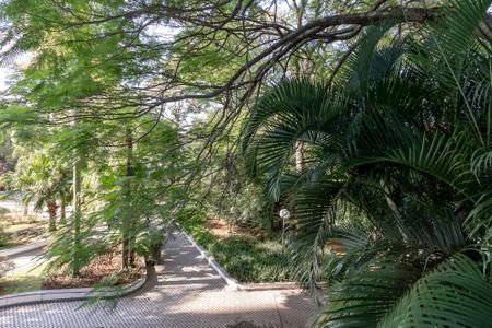 Apartamento à venda com 160m², 3 quartos e 2 vagasVista da Suíte