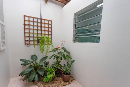 Casa à venda com 300m², 3 quartos e sem vagaJardim de inverno