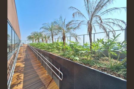 Apartamento para alugar com 27m², 1 quarto e sem vaga Apartamento para alugar com 27m², 1 quarto e sem vagaÁrea comum - Terraço