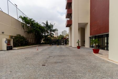 Apartamento para alugar com 252m², 3 quartos e 2 vagasÁrea comum