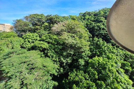 Apartamento à venda com 122m², 3 quartos e 1 vagaQuarto 3 Vista