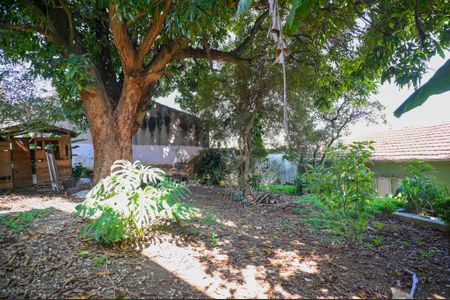 Casa para alugar com 740m², 4 quartos e 3 vagasQuintal