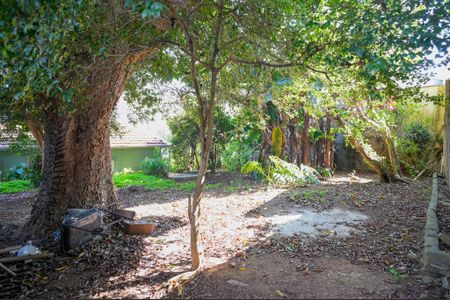 Casa para alugar com 740m², 4 quartos e 3 vagasQuintal