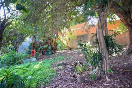 Casa para alugar com 740m², 4 quartos e 3 vagasQuintal