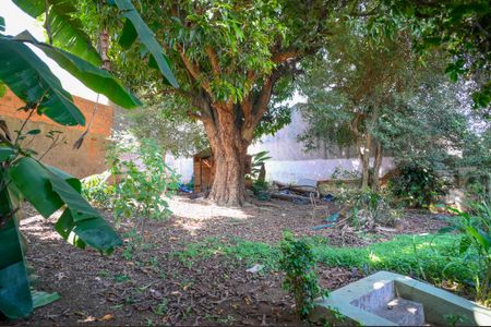 Casa para alugar com 740m², 4 quartos e 3 vagasQuintal