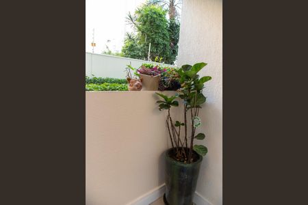 Apartamento para alugar com 67m², 2 quartos e 1 vaga Apartamento para alugar com 67m², 2 quartos e 1 vagaVaranda Quarto