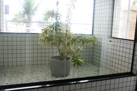 Apartamento para alugar com 57m², 2 quartos e 1 vagaJardim