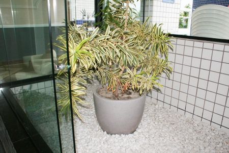 Apartamento para alugar com 57m², 2 quartos e 1 vagaJardim