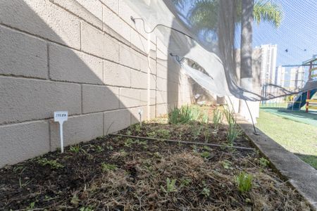 Apartamento para alugar com 51m², 2 quartos e 1 vagaÁrea Comum