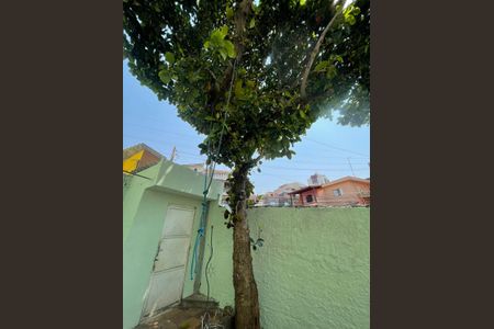 Casa à venda com 254m², 4 quartos e 2 vagas Casa à venda com 254m², 4 quartos e 2 vagasÁrea Externa