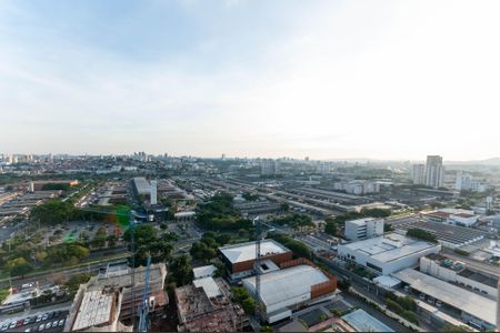 Apartamento à venda com 386m², 3 quartos e 4 vagasVista