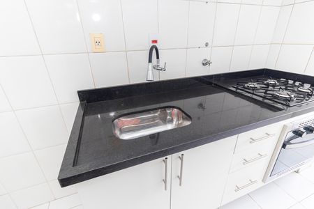 Apartamento para alugar com 50m², 2 quartos e 1 vagaCozinha - Torneira
