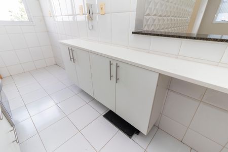 Apartamento para alugar com 50m², 2 quartos e 1 vagaCozinha - Armários