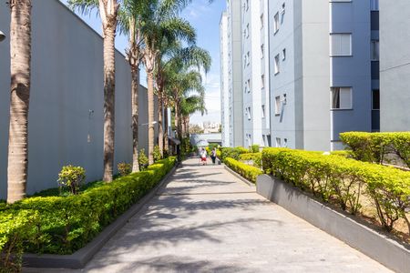 Apartamento para alugar com 50m², 2 quartos e 1 vagaÁrea externa