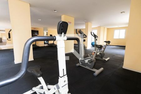 Apartamento à venda com 53m², 2 quartos e 1 vaga Apartamento à venda com 53m², 2 quartos e 1 vagaÁrea comum - Academia