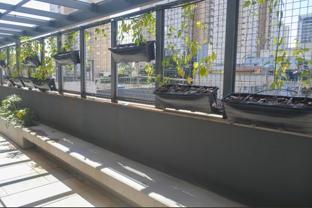 Apartamento para alugar com 35m², 1 quarto e sem vagaÁrea comum