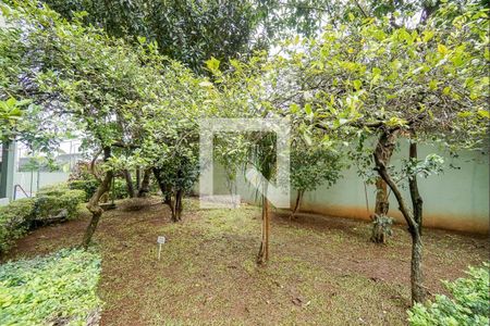 Apartamento para alugar com 50m², 2 quartos e 1 vagaÁrea comum