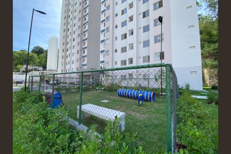 Apartamento para alugar com 35m², 2 quartos e sem vagaEspaço pet