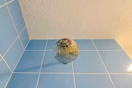 Apartamento à venda com 82m², 2 quartos e 1 vagaBanheiro Social