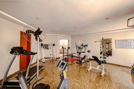 Apartamento à venda com 289m², 4 quartos e 4 vagasÁrea comum - Academia