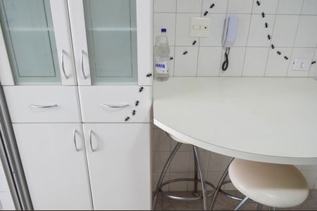 Apartamento para alugar com 87m², 3 quartos e 2 vagasCozinha