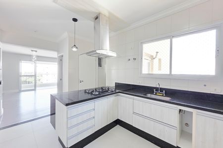 Apartamento para alugar com 133m², 3 quartos e 3 vagas Apartamento para alugar com 133m², 3 quartos e 3 vagasCozinha / Área de Serviço