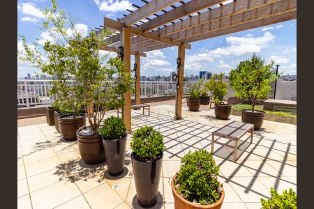 Apartamento para alugar com 50m², 1 quarto e sem vaga Apartamento para alugar com 50m², 1 quarto e sem vagaÁrea comum - Terraço