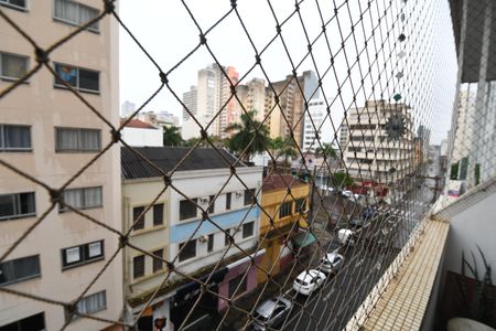 Sala - Vista de apartamento para alugar com 3 quartos, 87m² em Centro, Campinas