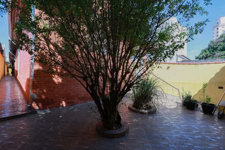 Casa à venda com 212m², 4 quartos e 13 vagasJardim